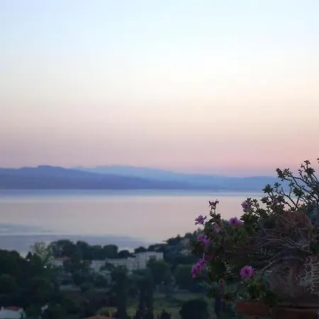 Villa Luxury Nefeli W Private Pool In Skiathos Troulos